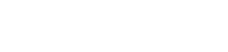 FVV Foundation Logo White
